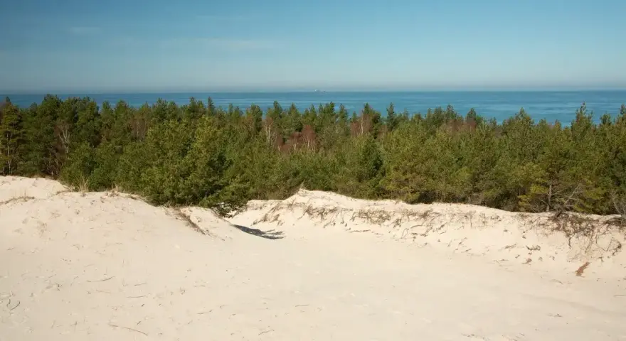 Piasek i sosny na wydmach lubiatowskich, z widokiem na spokojne morze i błękitne niebo.