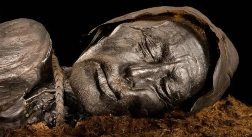 Visage d'une momie des tourbières, le corps préservé dans la tourbe, les traits du visage marqués par le temps.
