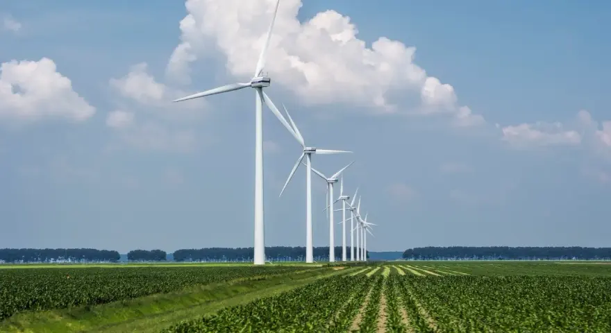 Rząd białych turbin wiatrowych na tle błękitnego nieba z chmurami, nad zielonym polem kukurydzy. Efektywne cable pooling w akcji.