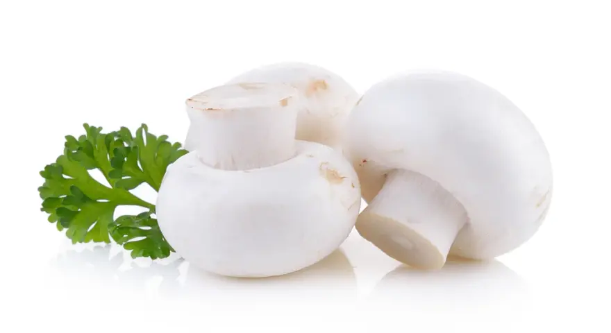 Ile kalorii ma pieczarka smażona? Sprawdź zaskakujące wartości!
