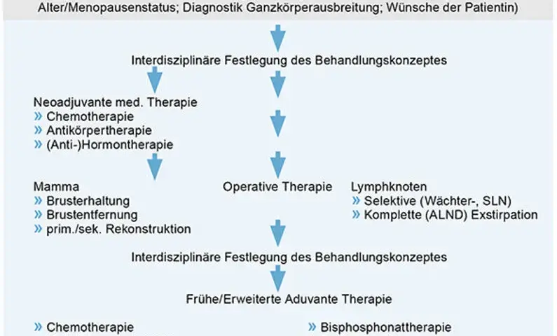 Mammakarzinom Diagnostik: Wichtige Verfahren und ihre Bedeutung für die Früherkennung