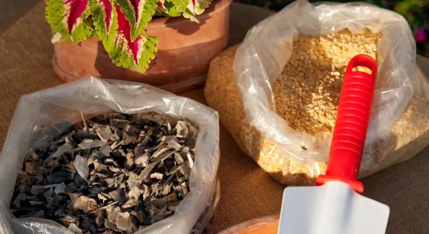 Due sacchi trasparenti contengono concime naturale per piante: uno con scaglie scure, l'altro con granuli gialli. Una paletta rossa e bianca è appoggiata su uno dei sacchi.