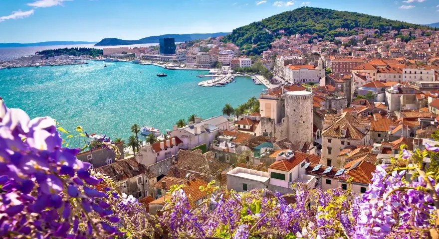 Widok na Split z kwitnącym glicynią. Turkusowe morze, białe budynki i zielone wzgórze tworzą malowniczą panoramę. Chorwacja atrakcje w pełnej krasie.