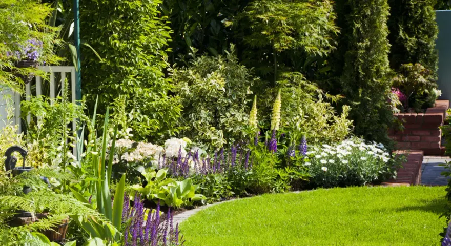 Ein üppiger Garten mit grüner Rasenfläche, bunten Blumen wie Lupinen und Hortensien sowie verschiedenen Sträuchern und Bäumen. Inspiration, wie gestalte ich meinen garten.