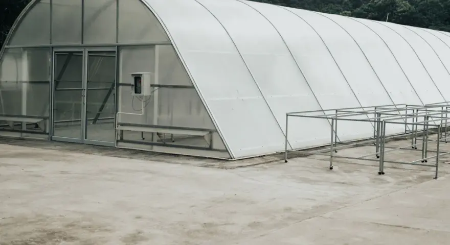 Zarobki z tunelu foliowego: Czy to się opłaca? Sprawdź kalkulacje.