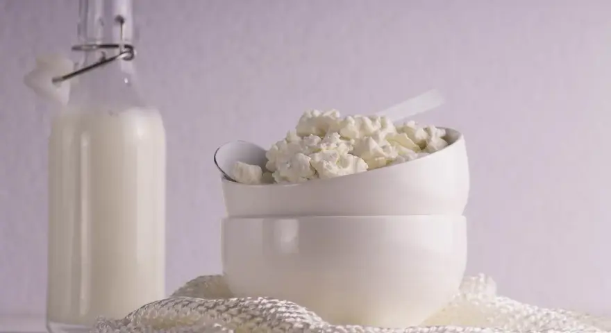 Czy koty mogą jeść owies? Sprawdź, co musisz wiedzieć o diecie kota