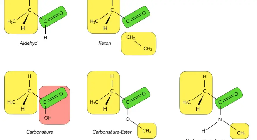 Chemische Strukturen: Aldehyd, Keton, Carbonsäure, Ester und Amid. Die **Carbonylgruppe** ist zentral für diese funktionellen Gruppen.