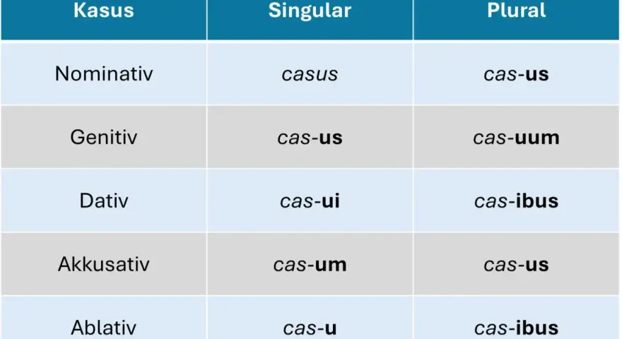 Tabelle zur lateinischen U-Deklination: Kasus, Singular und Pluralformen des Wortes "casus".