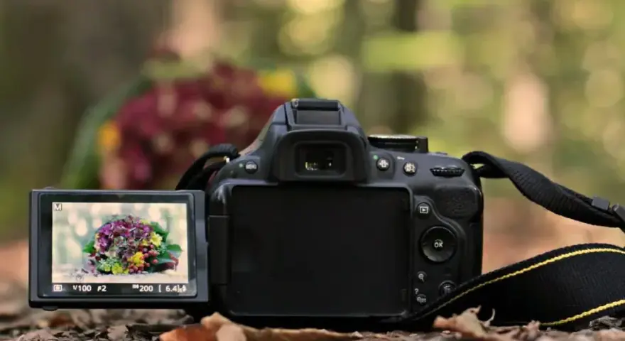 Dobra lustrzanka na początek – wybierz aparat, który nie zawiedzie