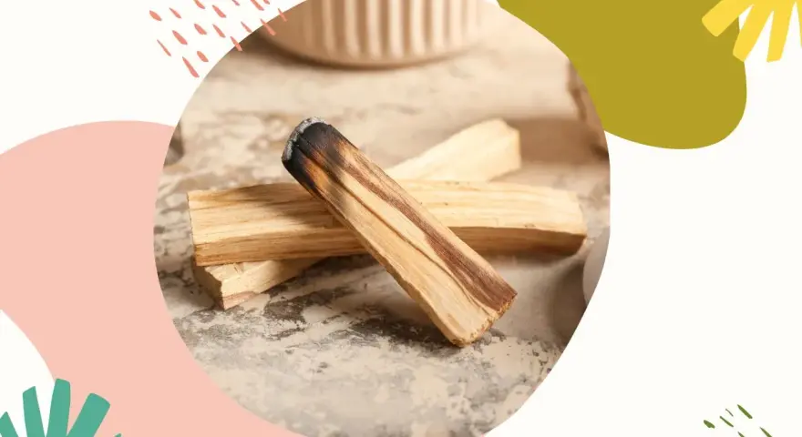 Drewno palo santo, znane z właściwości oczyszczających i relaksujących, leży na kamiennym blacie.