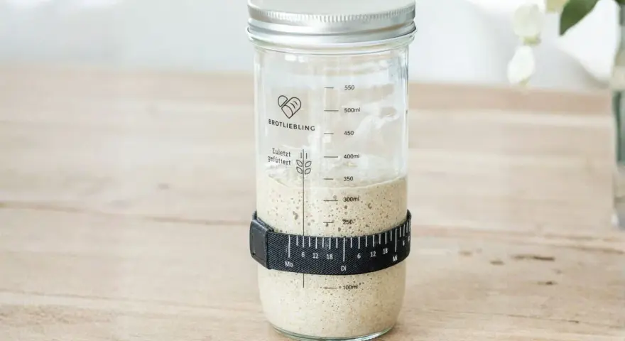 Ein Glas mit lebendigem Sauerteig, bereit für den nächsten Brotteig. Der "Sauerteig Fusel" zeigt Bläschen und ist mit einer Messband-Manschette versehen.