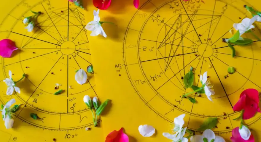 Dwa koła horoskopowe na żółtym tle, ozdobione płatkami kwiatów. 21 czerwiec znak zodiaku.