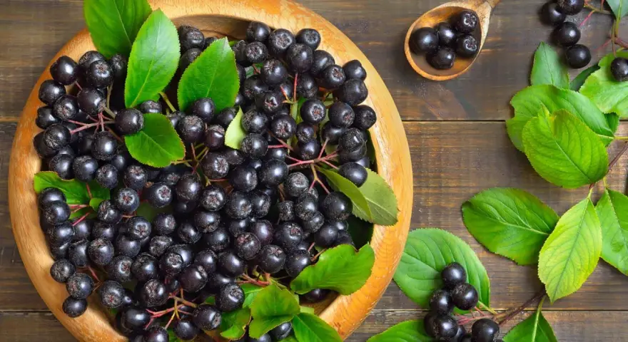 Frische Aroniabeeren in einer Holzschale und auf einem Löffel, bereit zum Verarbeiten.