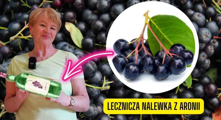 Nalewka z aronii: na co pomaga? Właściwości i dawkowanie