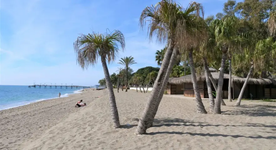 Piękny marbella beach z palmami, piaskiem i molo w oddali. Słońce i błękitne niebo zapraszają do relaksu.