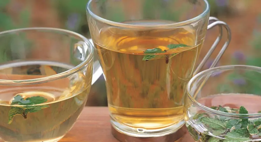 Tres tazas de cristal con infusiones de hierbas, algunas con hojas de menta flotando. Perfectas infusiones antiinflamatorias para un momento de relax.