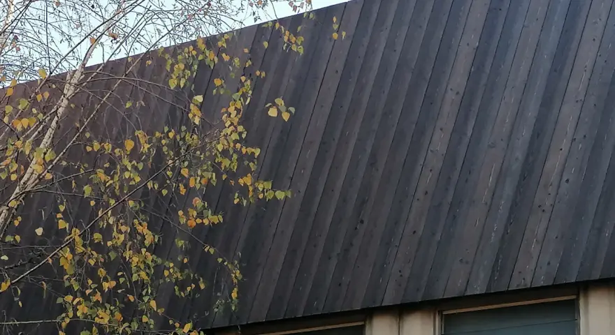 Un muro inclinato di legno bruciato giapponese, con rami spogli e foglie gialle che si stagliano contro il cielo.