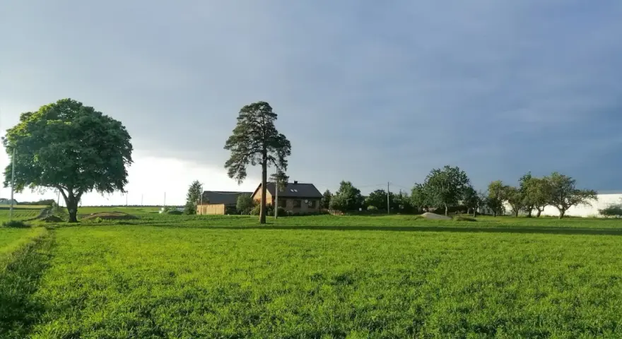 Zielone pole i domy wiejskie pod zachmurzonym niebem. Może to być krajobraz, gdzie rozważana jest opłata za wyłączenie gruntu z produkcji rolnej.