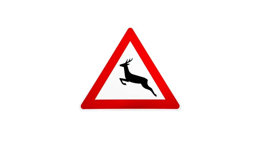 Warnschild: Achtung, Wildwechsel! Ein springendes Reh im roten Dreieck weist auf die Gefahr hin, dass Tiere die Straße überqueren könnten.