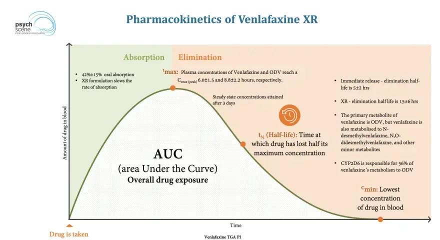 Wykres farmakokinetyki **efectin** XR: wchłanianie, eliminacja, AUC, tmax, t½ i Cmin.