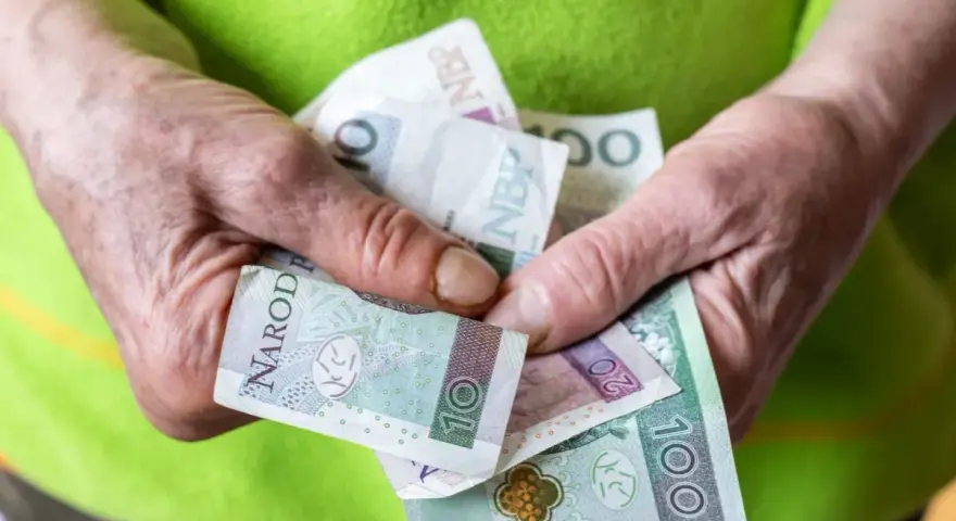 Dłonie trzymają polskie banknoty: 10, 20 i 100 zł. To może być wsparcie z tytułu renta socjalna.