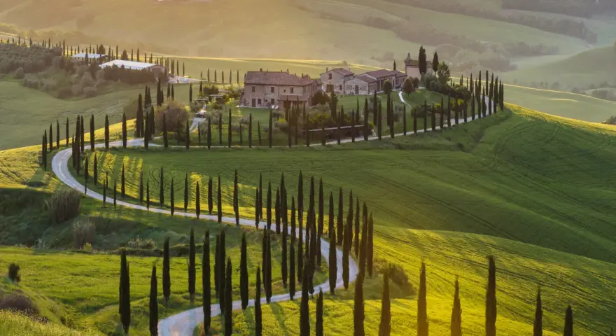 Un suggestivo itinerario Val d'Orcia 3 giorni: cipressi fiancheggiano una strada tortuosa tra dolci colline verdi al tramonto.