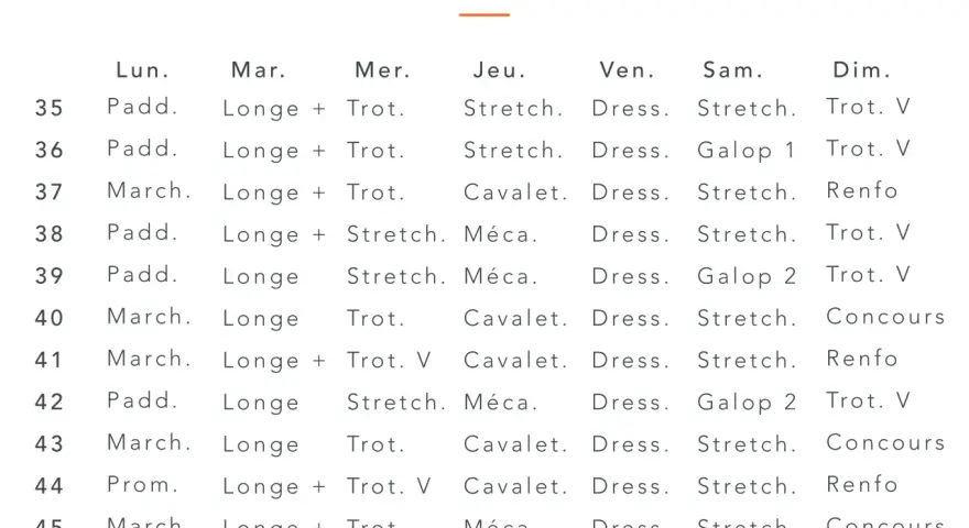 Planning de travail équestre pour 12 semaines, détaillant les activités quotidiennes comme le trot, le galop, le stretching et le dressage.