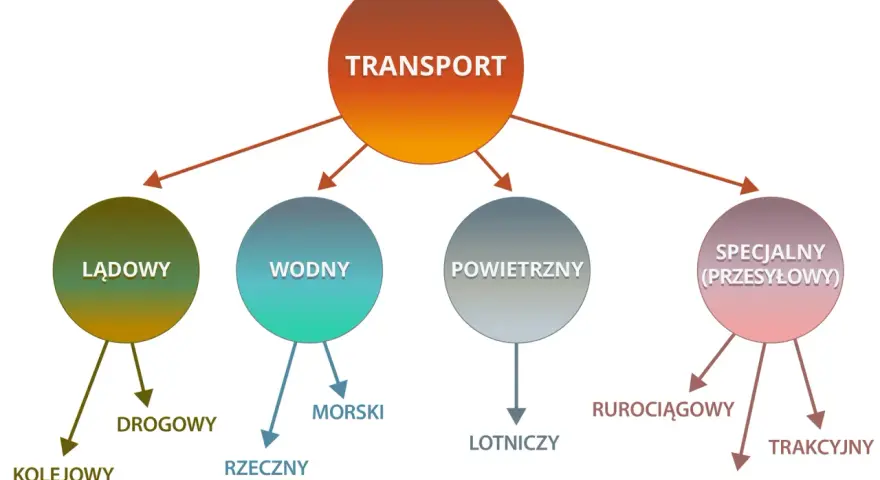 Czym jest spedycja? Kluczowe zadania i rodzaje transportu