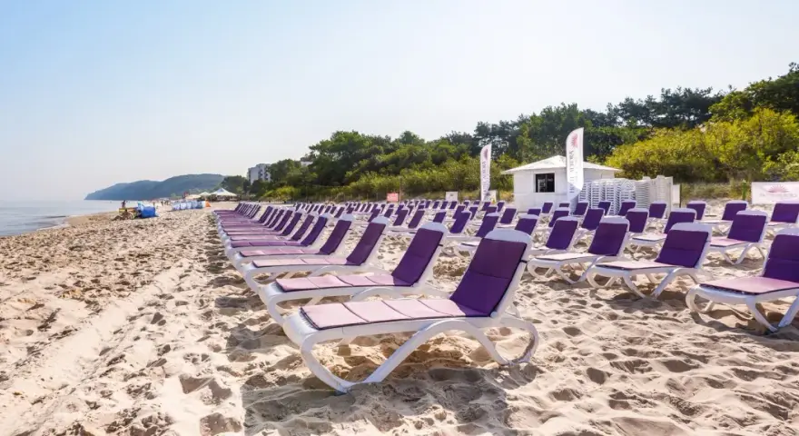 Rzędy fioletowych leżaków na piaszczystej plaży nad morzem.