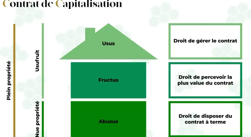 Schéma illustrant le démembrement d'un contrat de capitalisation, séparant l'usufruit de la nue-propriété et les droits associés.