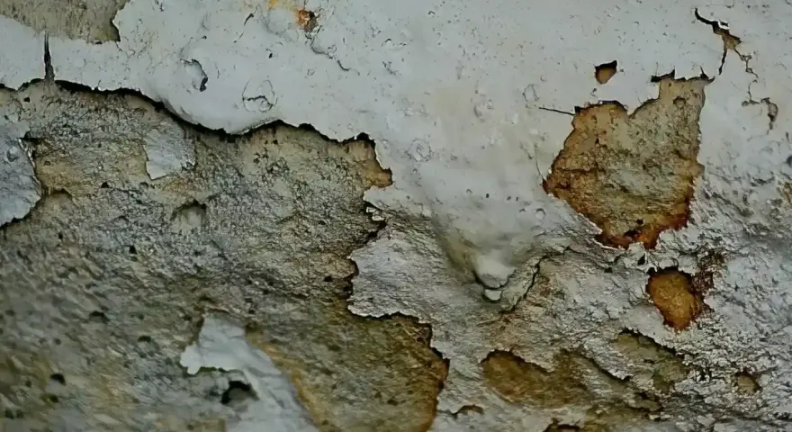 Muri scrostati con macchie scure, segno di umidità. Ecco come evitare muffa in casa.