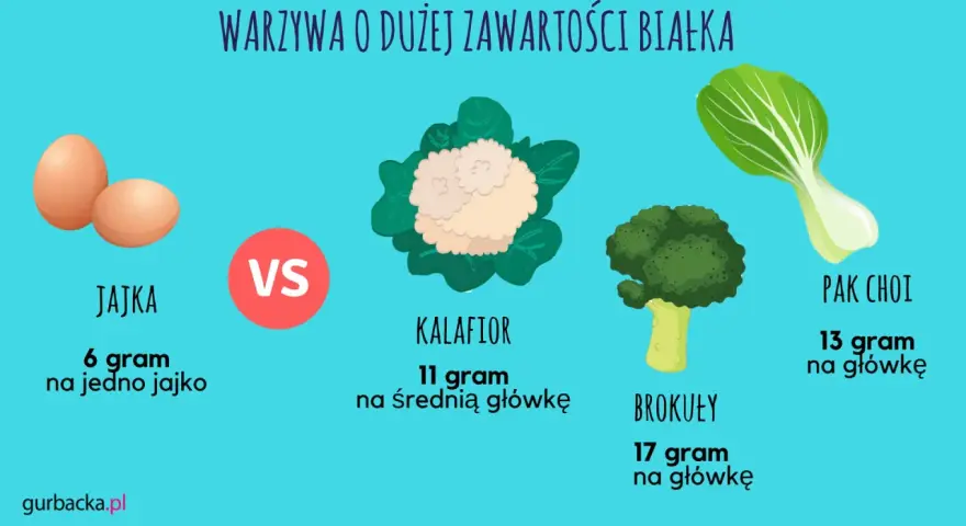 Tabela porównująca zawartość białka w jajkach i warzywach: brokuły, kalafior, pak choi. Produkty zawierające dużo białka to m.in. brokuły (17g/główkę).
