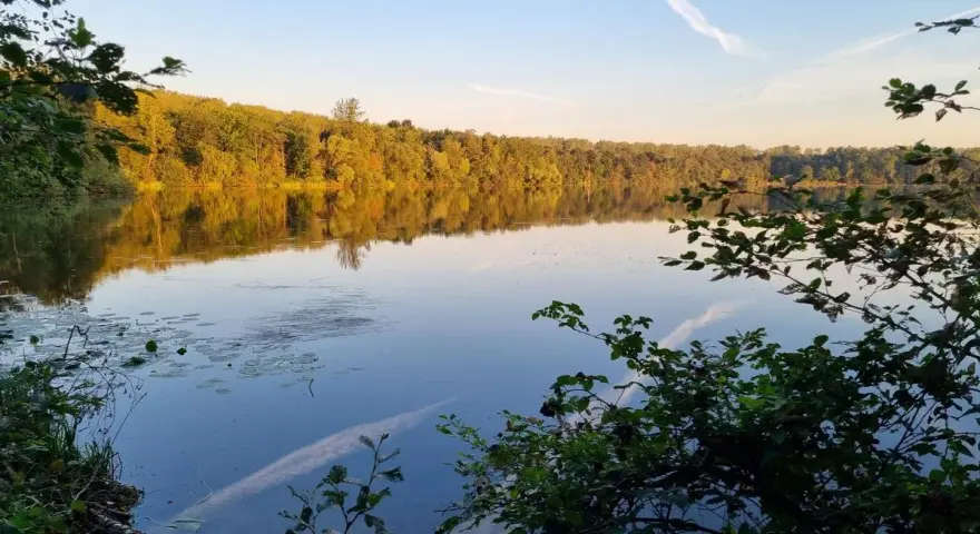 Sonnenuntergang am Liblarer See. Bäume spiegeln sich im ruhigen Wasser, der Himmel ist blau mit weißen Kondensstreifen.