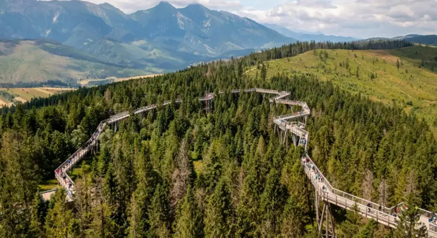 Ścieżka w koronach drzew na Słowacji, wspaniałe słowacja atrakcje blisko Zakopanego, z widokiem na Tatry.