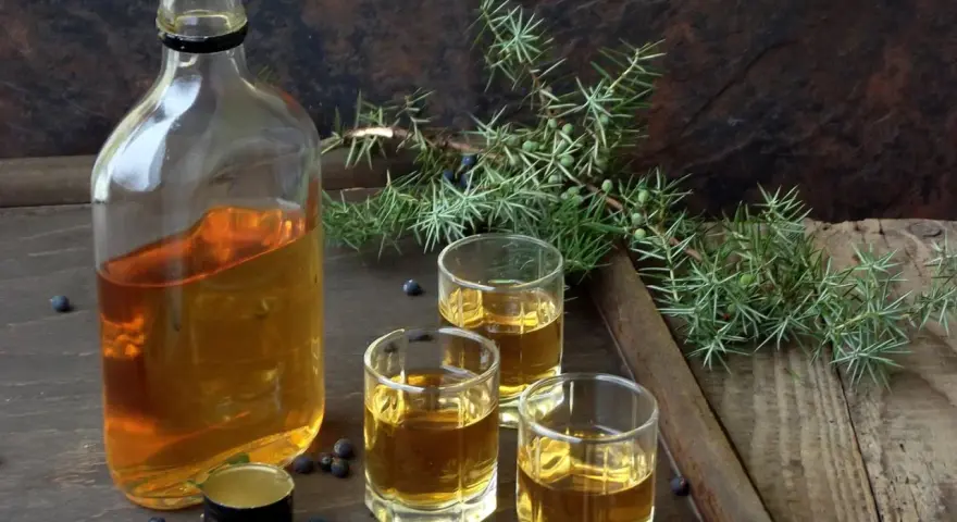 Flasche mit bernsteinfarbenem Gin, drei Gläser und Wacholderzweige. Perfekt für Gin DIY.