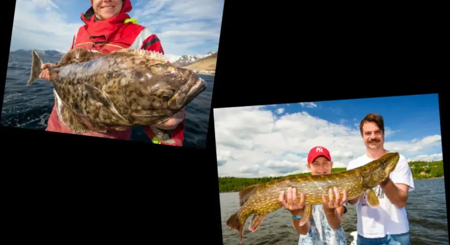 Glückliche Angler mit ihren Fängen. Ein Mann hält einen großen Fisch, während ein Junge und ein Mann einen Hecht präsentieren. Mit dem Echolot Fische erkennen ist hier erfolgreich.
