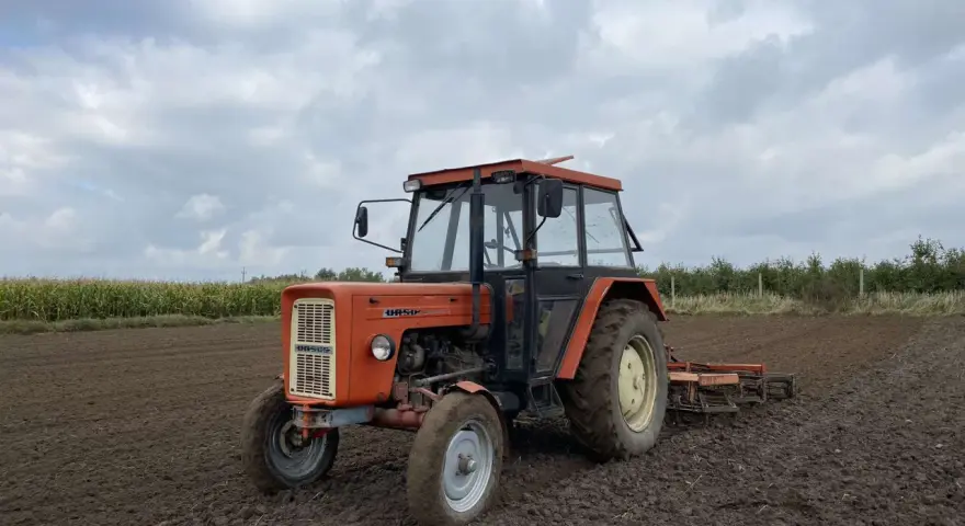 Pomarańczowy Ursus C-360 na polu. Zastanawiasz się, ile oleju do silnika C-360 potrzebujesz? Ten traktor jest gotowy do pracy.