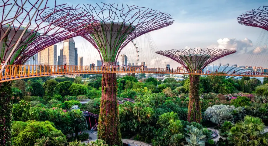 Superdrzewa w Gardens by the Bay, Singapur. To miasto-państwo leży w Azji Południowo-Wschodniej.