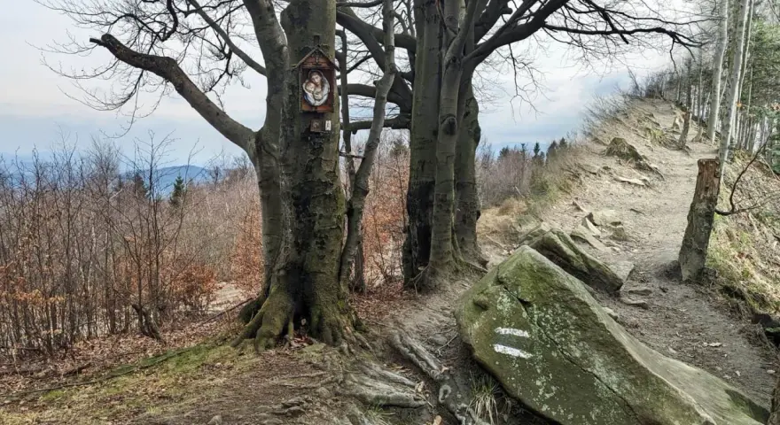 Kapliczka na drzewie przy kamienistym szlaku górskim.
