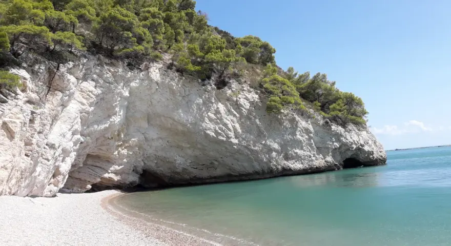 Una spiaggia di ciottoli bianchi si apre su un mare cristallino, incastonata tra imponenti scogliere calcaree ricoperte di pini marittimi. Sembra proprio la baia delle sirene, un luogo incantato.