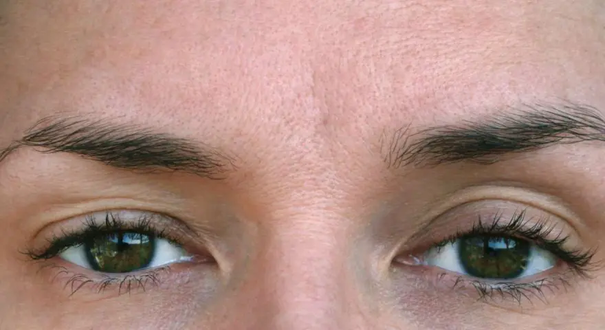 Ojos verdes con cejas oscuras y parpados caidos, piel con algunas arrugas finas.