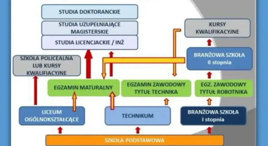 Schemat ścieżek kształcenia po szkole podstawowej. Po ukończeniu szkoły podstawowej można wybrać liceum, technikum lub branżową szkołę I stopnia, która daje wykształcenie średnie zawodowe.