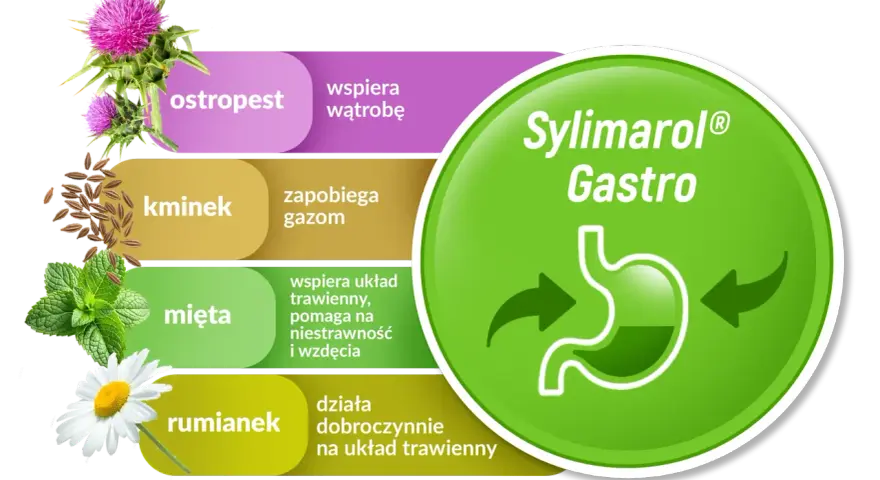Sylimarol Gastro: ostropest wspiera wątrobę, kminek zapobiega gazom, mięta i rumianek działają dobroczynnie na układ trawienny.