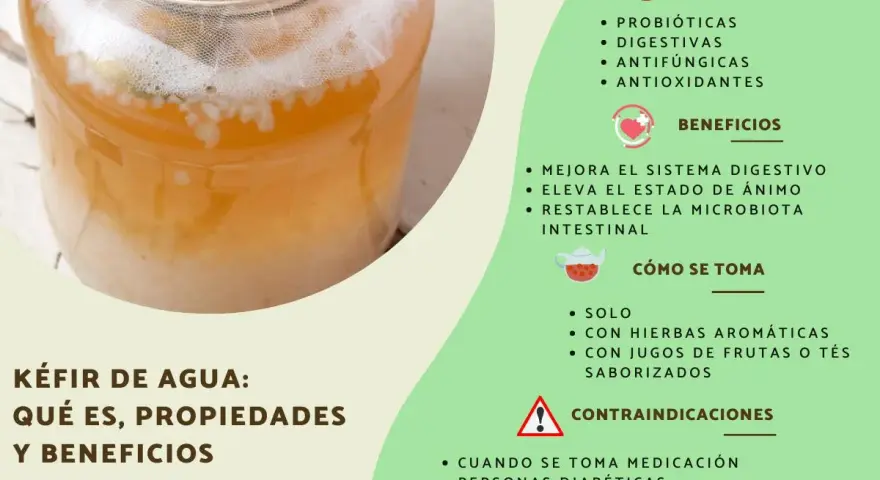 Kéfir de agua en un frasco, ideal para que es bueno el kéfir: mejora digestión, ánimo y microbiota. Propiedades probióticas, digestivas, antifúngicas y antioxidantes.