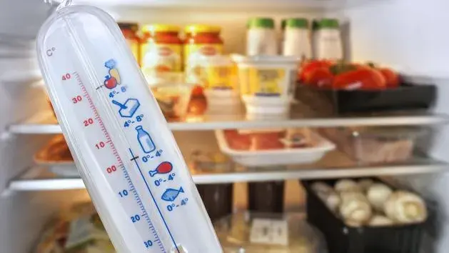 Jaka temperatura w lodówce? Klucz do świeżości i niższych rachunków