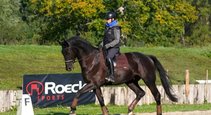 Un cavalier sur un cheval noir, en plein mouvement, démontrant une belle locomotion.