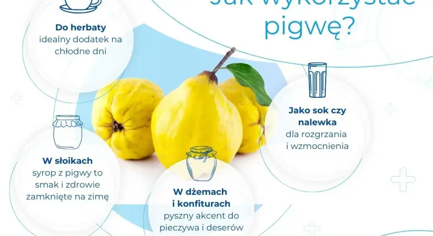 Pigwa: idealny dodatek do herbaty, syrop na zimę, sok, nalewka, dżem. Dowiedz się, co to pigwa i jak ją wykorzystać.