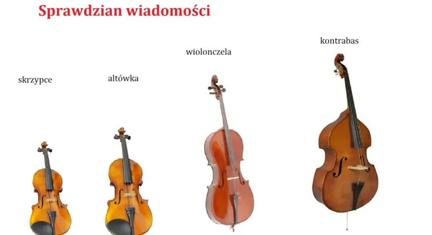 Skrzypce, altówka, wiolonczela i kontrabas – cztery instrumenty smyczkowe, każdy o innym rozmiarze i brzmieniu.