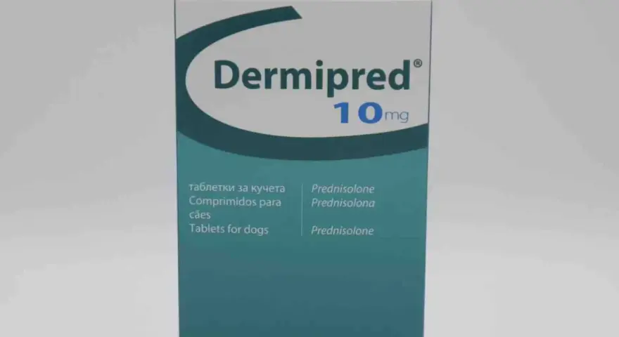 Opakowanie leku Dermipred 10mg, zawierające tabletki z prednizolonem dla psów.