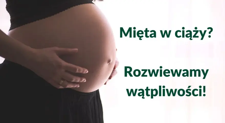 Brzuch kobiety w ciąży, z dłońmi delikatnie go obejmującymi. Obok tekst: "Mięta w ciąży? Rozwiewamy wątpliwości!".